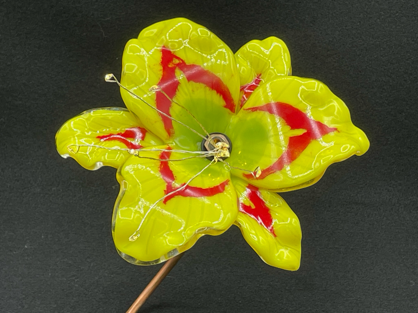 Yellow Lily