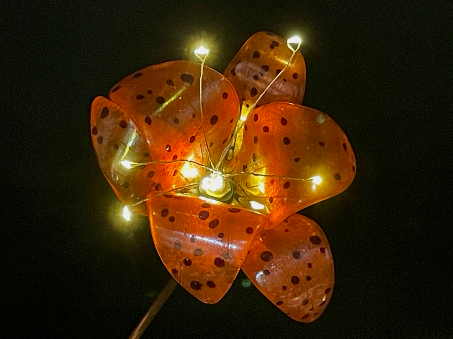 Orange Tiger Lily
