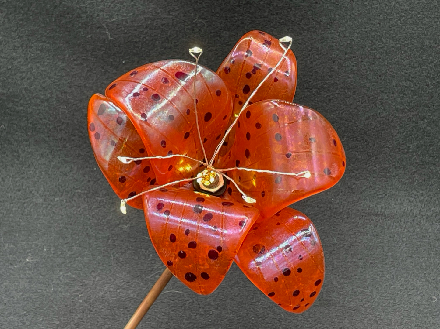 Orange Tiger Lily