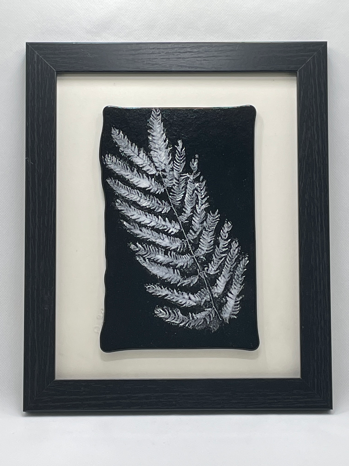Black Fern