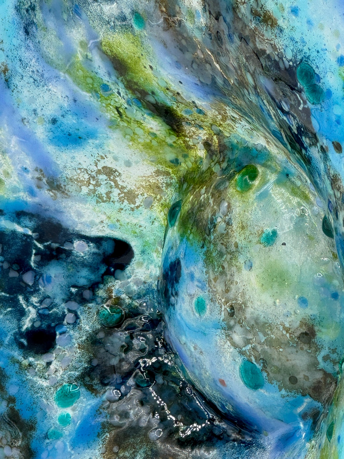 Tidal Eclipse Bloom