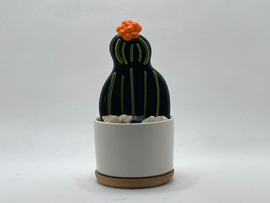 Cactus - medium with orange flower