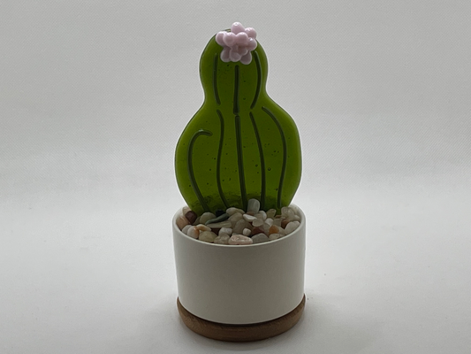 Cactus #2