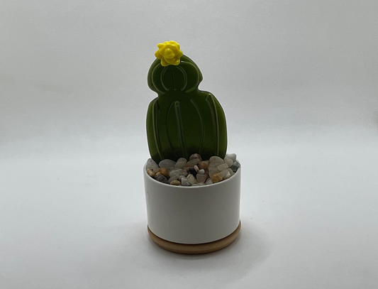 Cactus #3