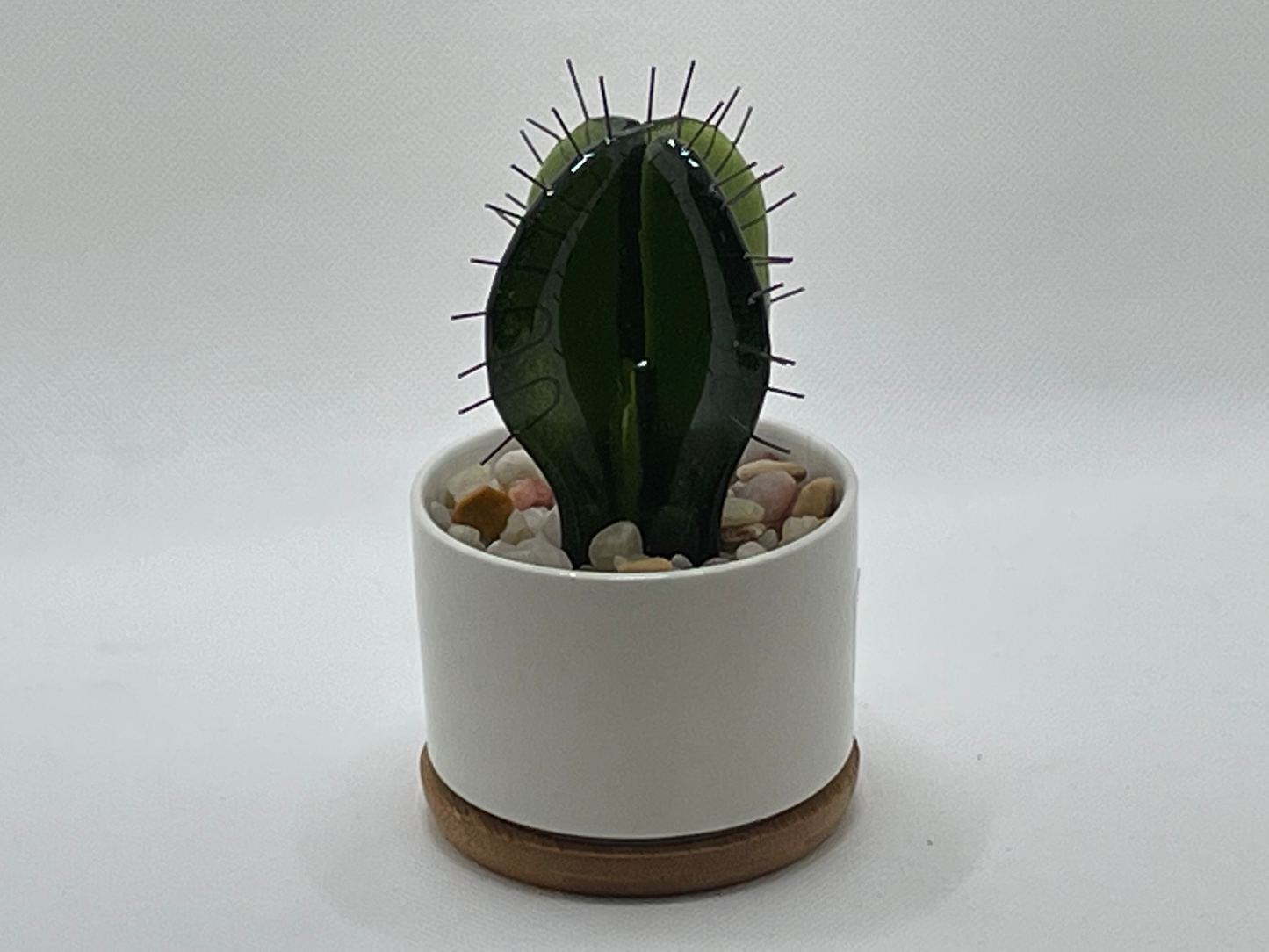 Cactus - small spiked