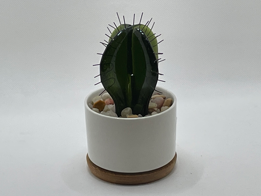 Cactus - small spiked