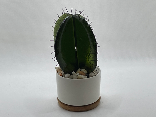 Cactus #6