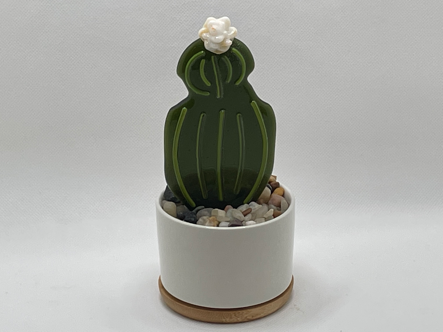 Cactus - large with white flower