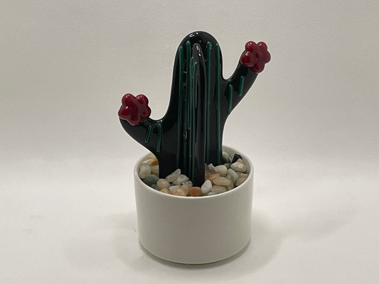 Cactus dark green with Red flowers