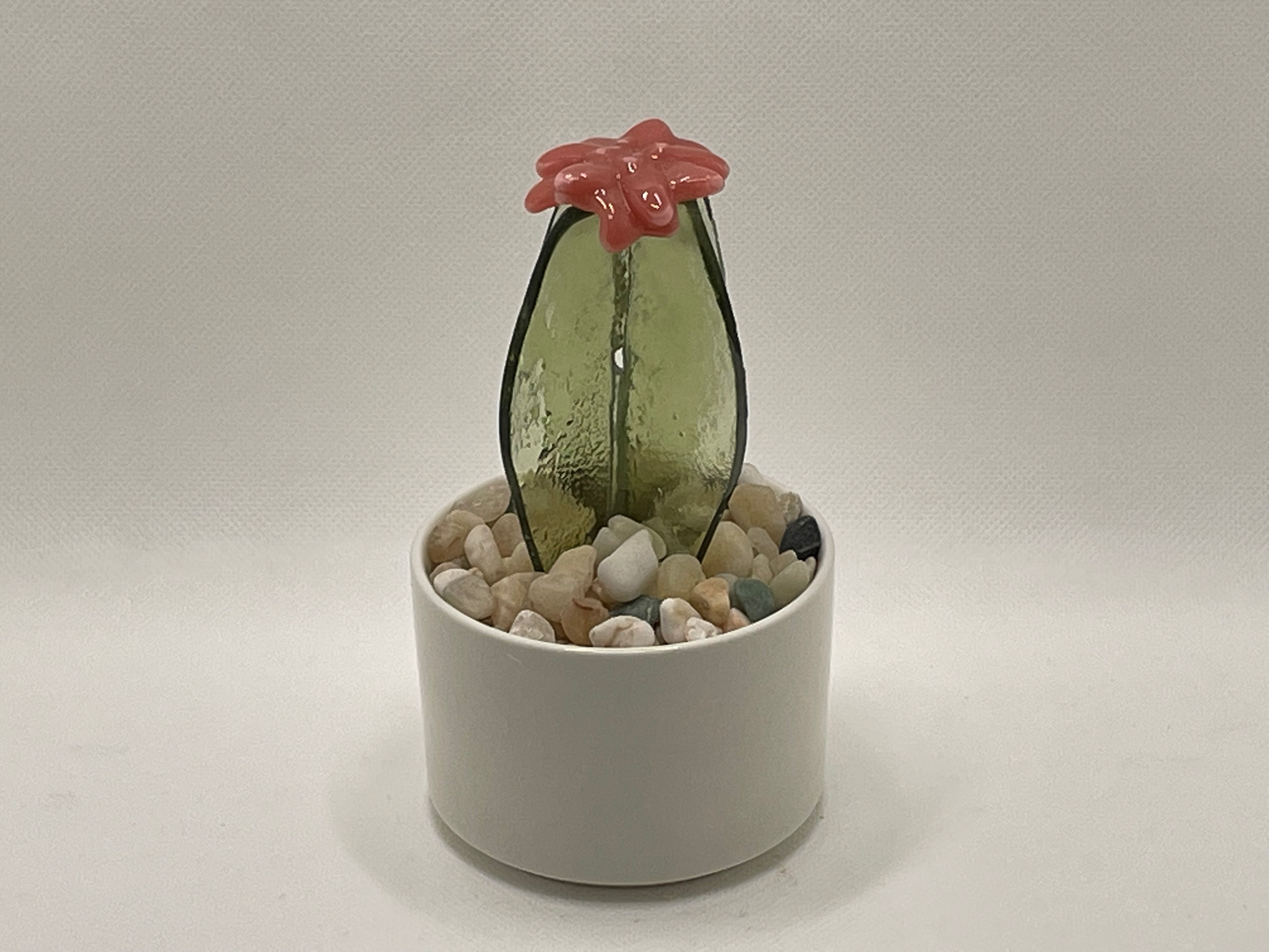 Cactus transparent light green with Pink flower