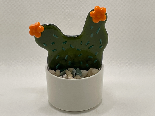 Cactus dark green with Orange flowers