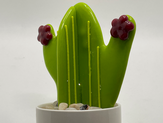 Cactus light green with Red flowers